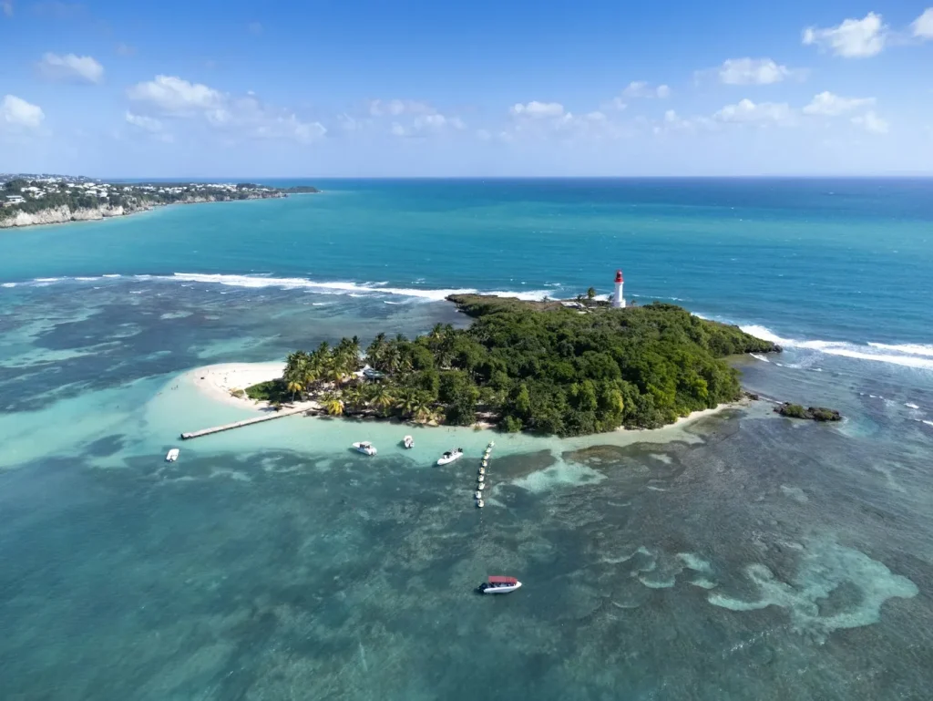 Référencement local en Guadeloupe : apparaître en premier sur Google Maps