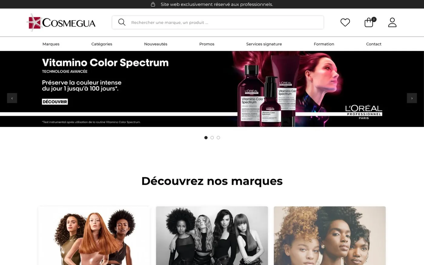 Site internet Cosmégua réalisé par SOWINK Antilles-Guyane